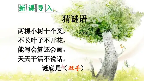 统编版一年级语文上册6 画【护眼版】课件 