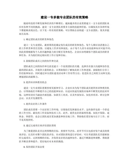 建设一专多能专业团队的有效策略