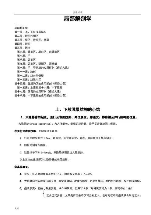 (非常实用的)局部解剖学重点