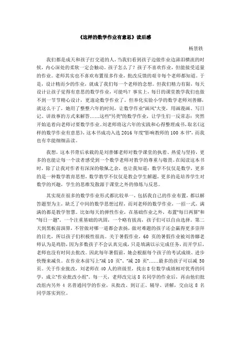这样的数学作业有意思读后感