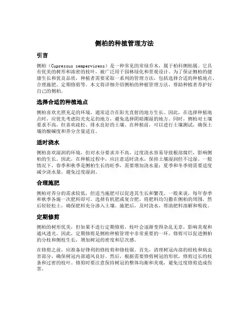 侧柏的种植管理方法