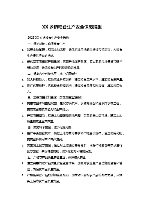 XX乡镇粮食生产安全保障措施