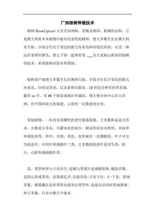 广西桉树种植技术