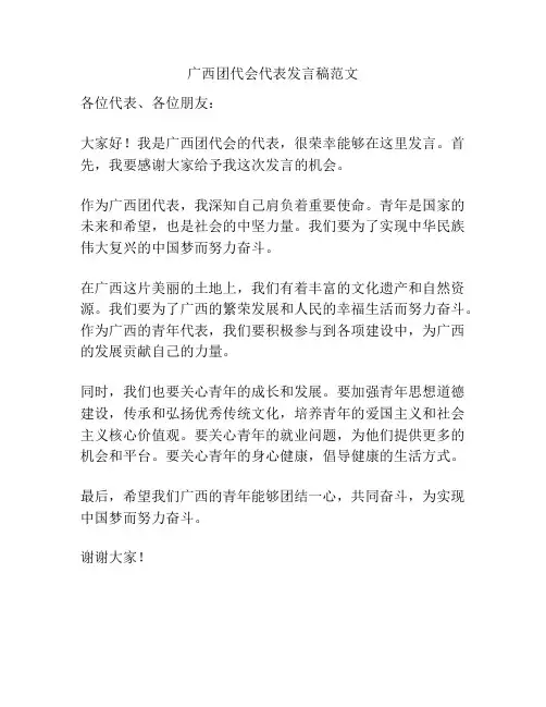 广西团代会代表发言稿范文