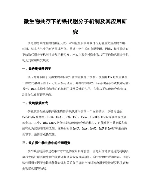 微生物共存下的铁代谢分子机制及其应用研究
