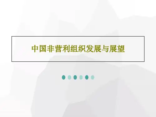 中国非营利组织发展与展望27页PPT