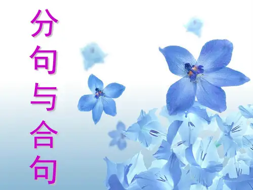 英译汉分句与合句