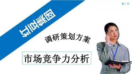红豆市场调研策划案