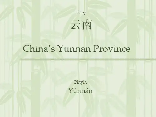 云南_英文PPT