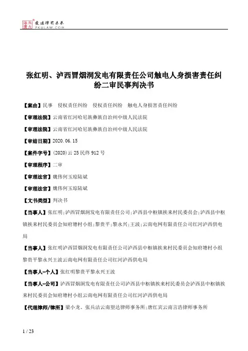 张红明、泸西冒烟洞发电有限责任公司触电人身损害责任纠纷二审民事判决书