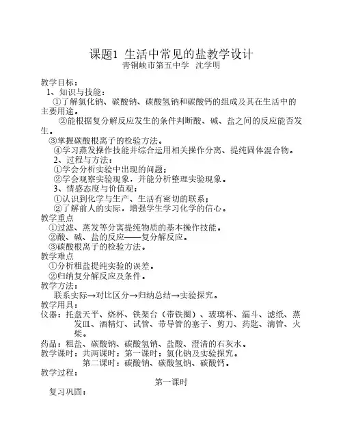 生活中常见的盐教案