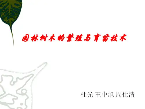 园林树木繁殖与育苗技术
