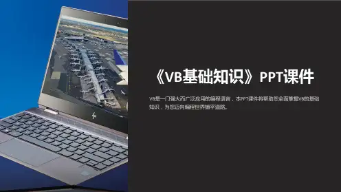 《VB基础知识》课件