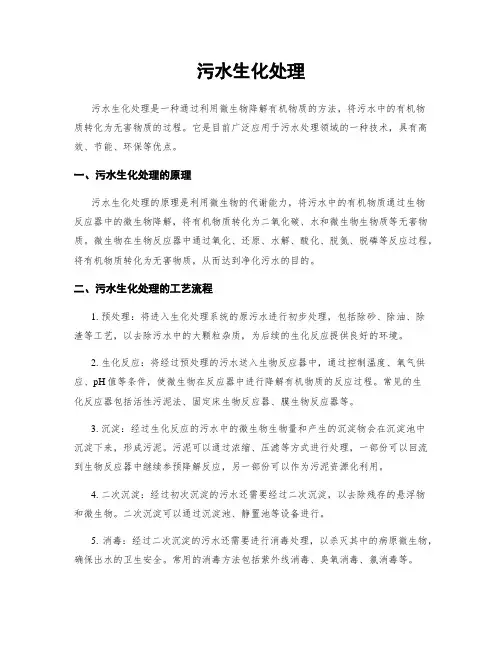 污水生化处理
