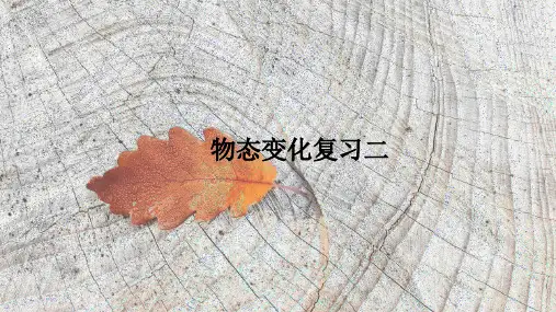 第3 章物态变化重点实验复习-人教版八年级物理上册ppt