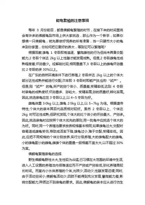 鳄龟繁殖的注意事项