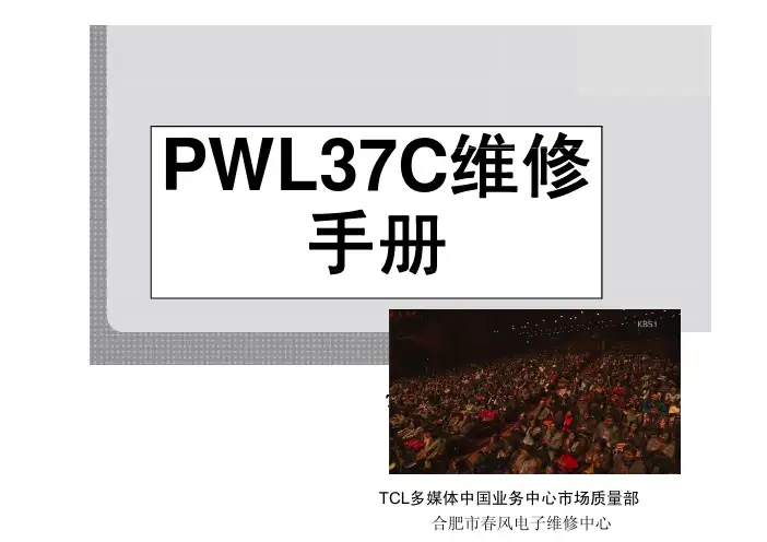 TCL王牌L32E77(MS91A机芯)彩电PWL37C电源板维修手册