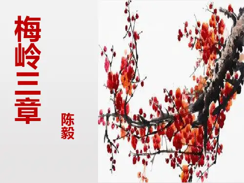 梅岭三章-实用PPT