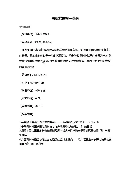 蜜粉源植物—桑树