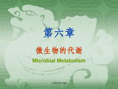 《微生物的代谢精美》PPT课件