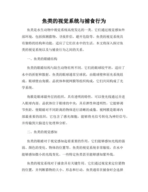 鱼类的视觉系统与捕食行为