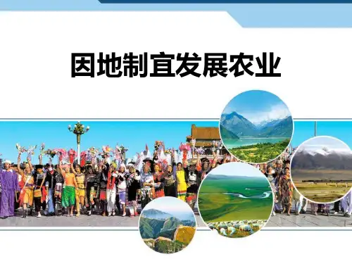 《因地制宜发展农业》PPT课件