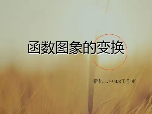 高一数学最新课件-函数图象的变换高一 精品
