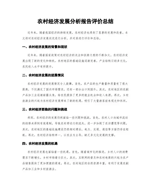 农村经济发展分析报告评价总结