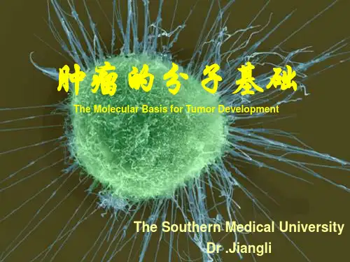 肿瘤的分子生物学ppt课件