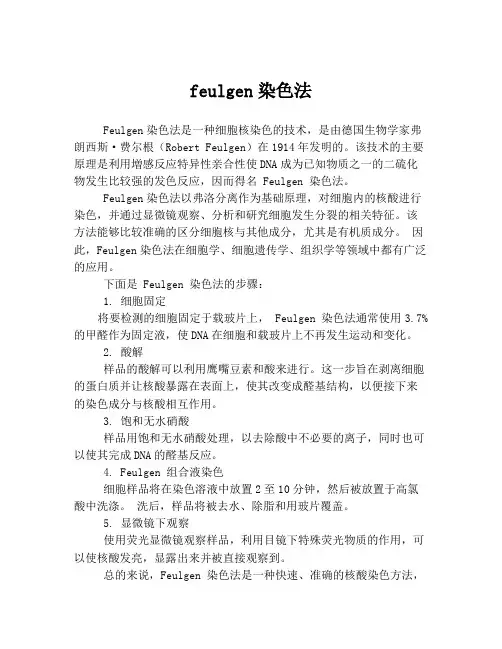 feulgen染色法