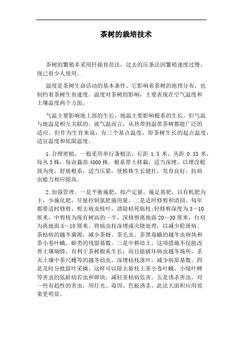茶树的栽培技术