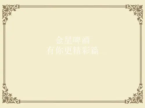 全国啤酒市场分析与广告分析(ppt 44页)