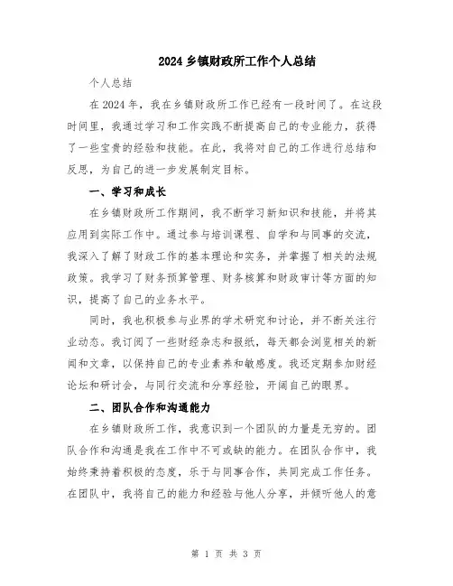 2024乡镇财政所工作个人总结