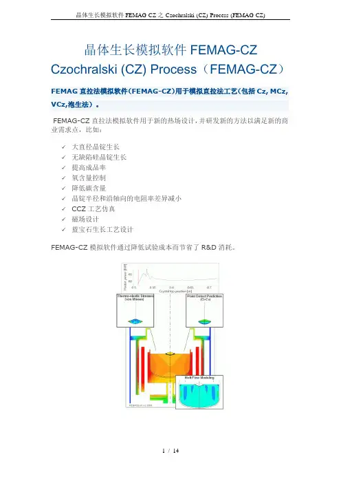 晶体生长模拟软件FEMAG-CZ之-Czochralski-(CZ)-Process-(FEMAG-