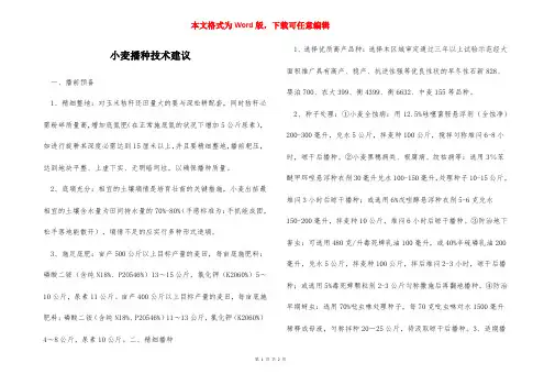 小麦播种技术建议