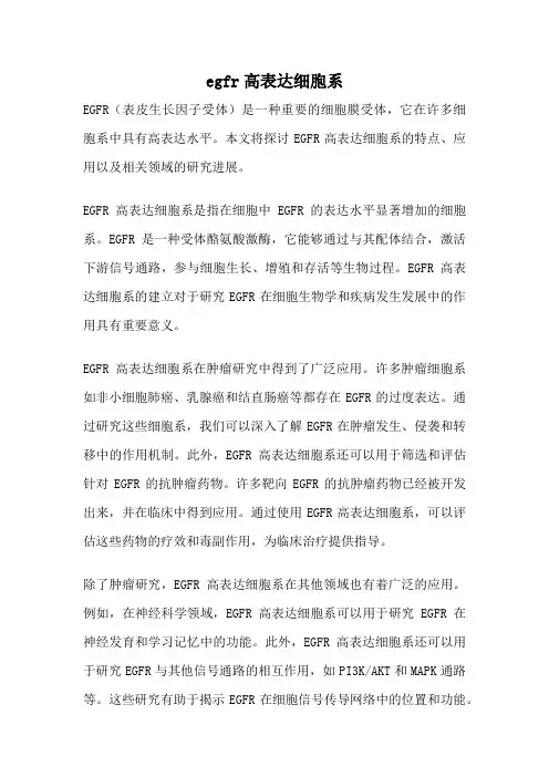 egfr高表达细胞系