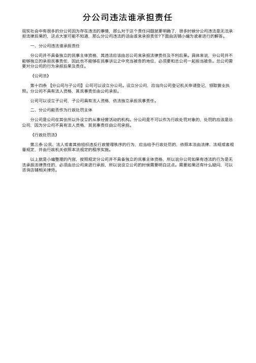 分公司违法谁承担责任