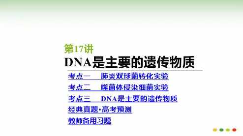 高三生物一轮复习：第17讲  DNA是主要的遗传物质