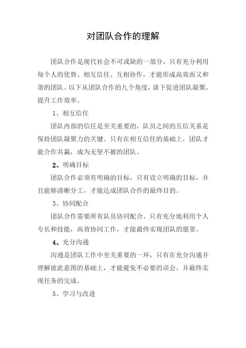 对团队合作的理解