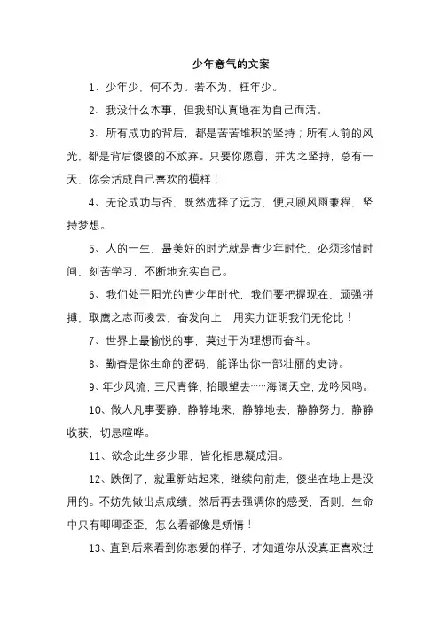 少年意气的文案
