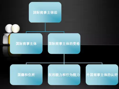 国际商事主体法及代理法