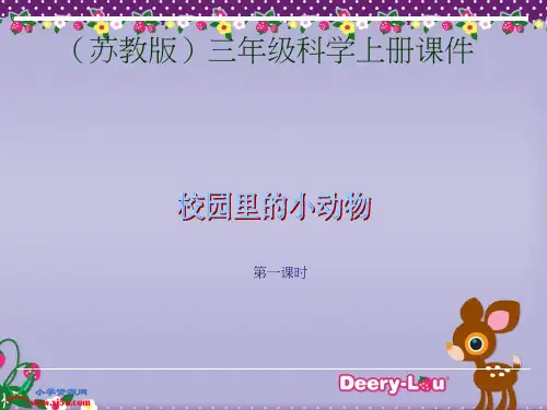 苏教版小学科学三年级上册《校园里的小动物