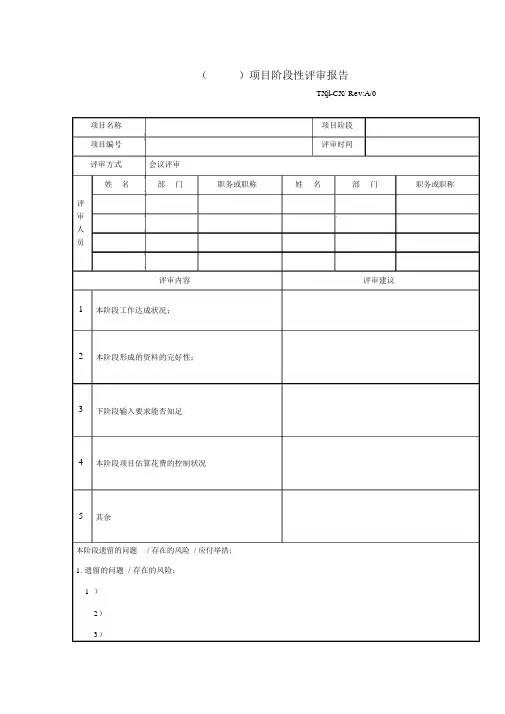 项目阶段性评审报告