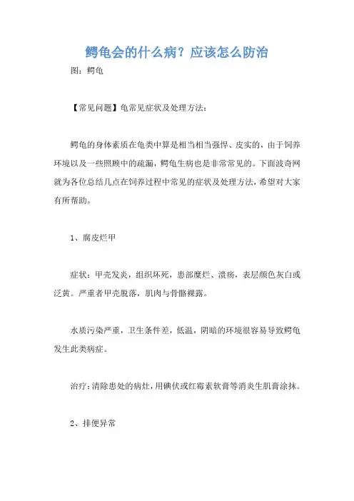鳄龟会的什么病？应该怎么防治