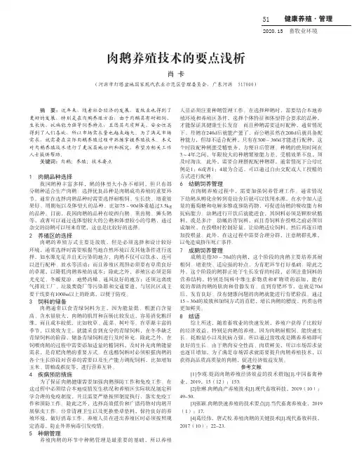 肉鹅养殖技术的要点浅析