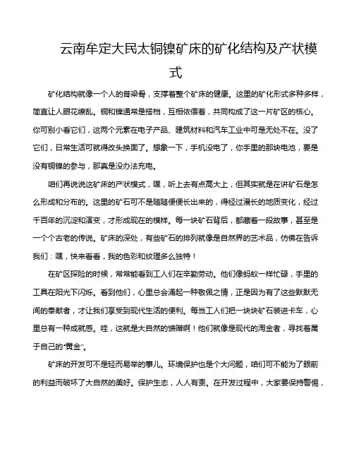 云南牟定大民太铜镍矿床的矿化结构及产状模式