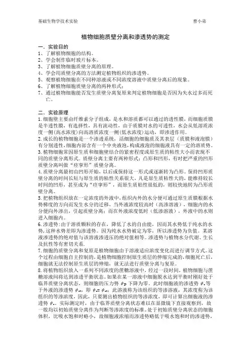 洋葱细胞质壁分离 曹小弟