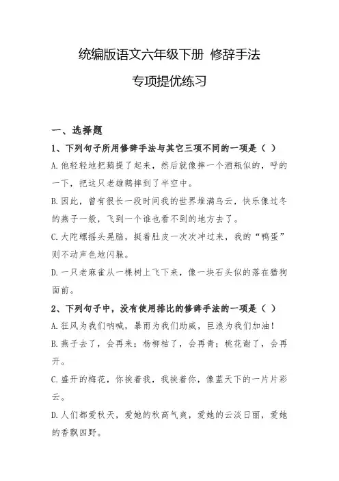 统编版语文六年级下册 修辞手法 专项提优练习