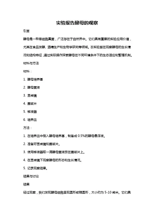 实验报告酵母的观察