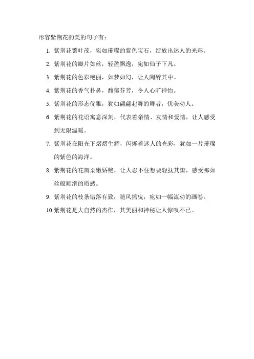 形容紫荆花的美的句子